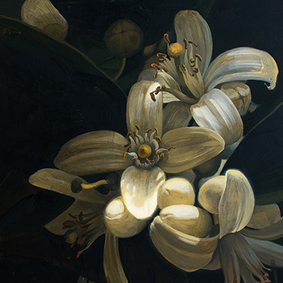 Sicilian Neroli — print